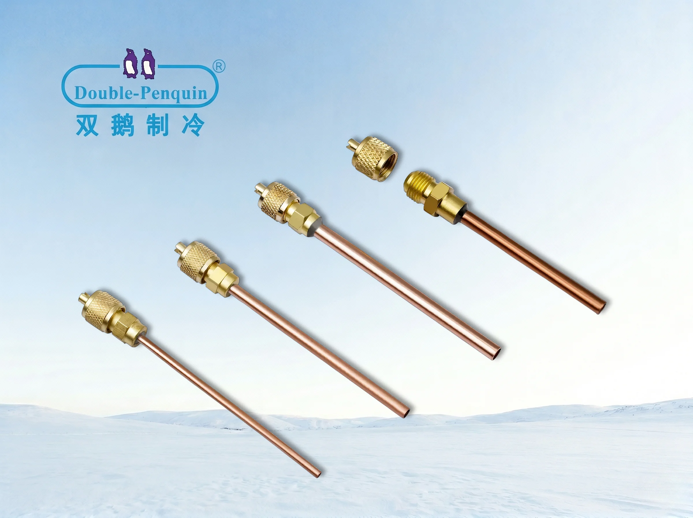 Charging Valve