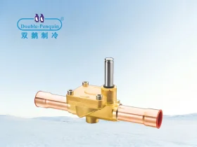 EVR Solenoid Valve