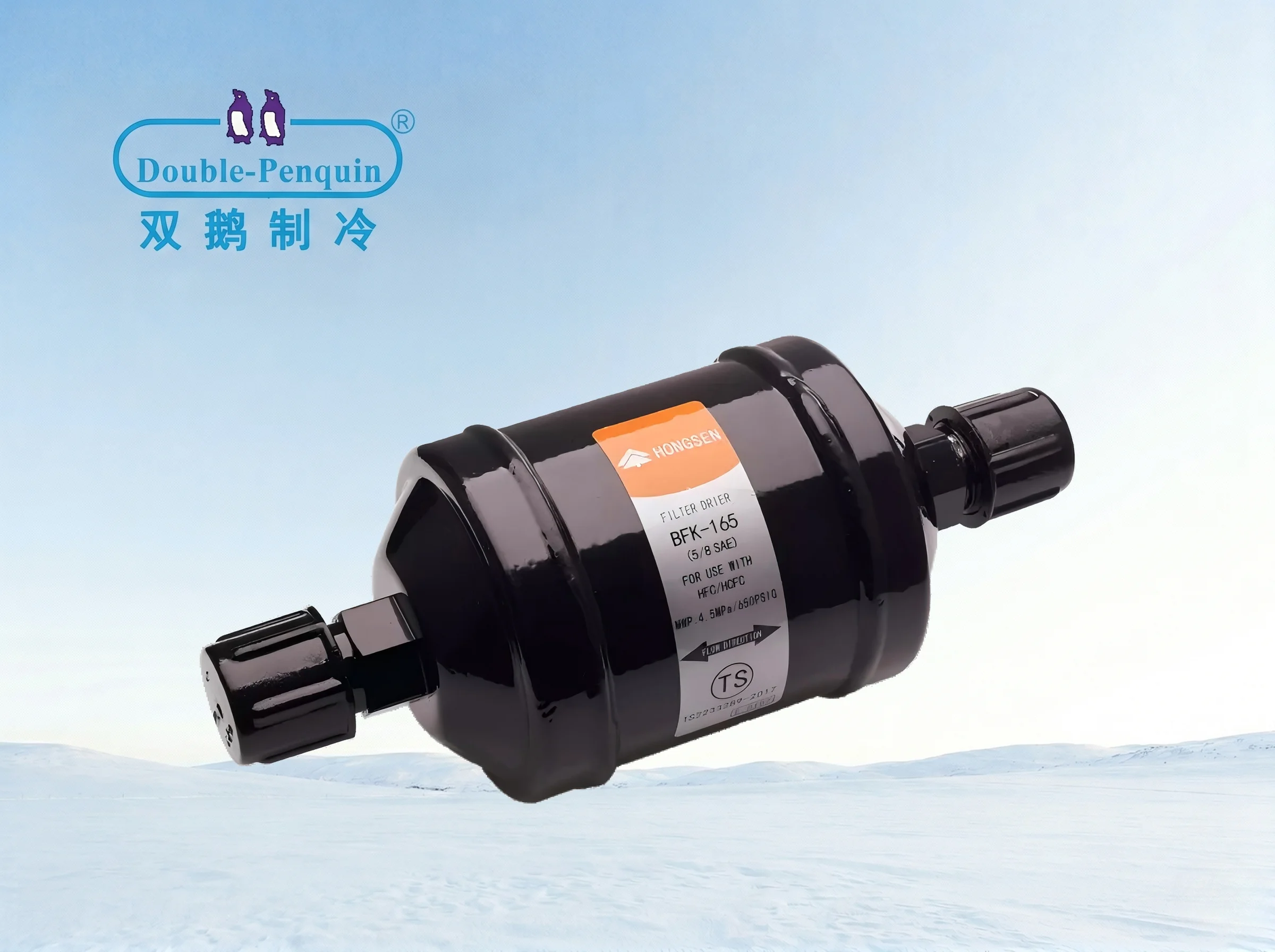 Model DFS Dry Filter
