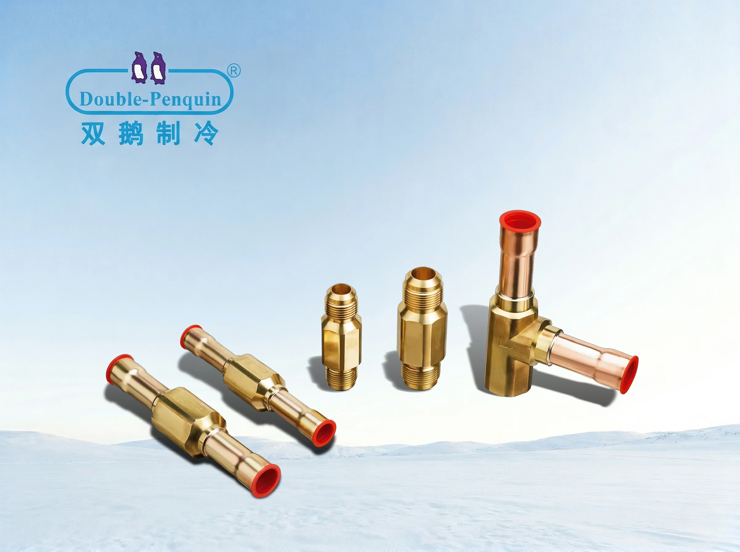 Model CV Check Valve
