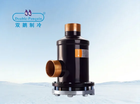 Model DFS Replaceable Dry Filter Cartridge