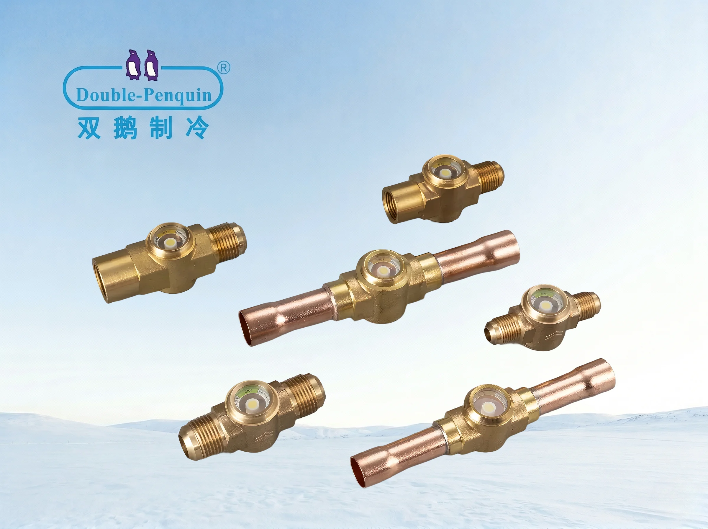 Model SG Sight Glass