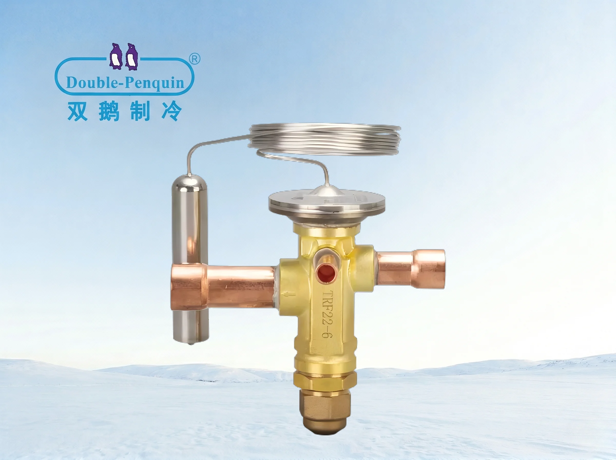 Model TRFW Thermostatic Expansion Valve