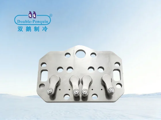 Valve Plate