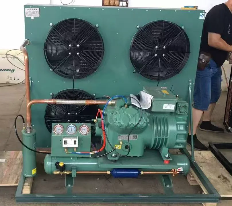 Heavy-Duty Cold Room Condensing Unit Assembly & Options
